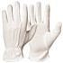 Baumwollhandschuhe, 12 Paar