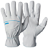 Montagehandschuhe, 12 Paar