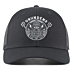 Sentinel of the Seas Trucker